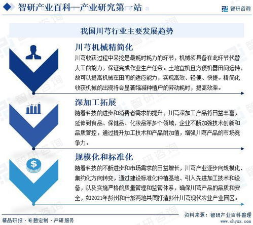 中国川芎行业发展驱动因素与市场运行格局分析报告